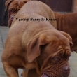 YGEORGI Baurydy-Kor�n