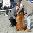 MVP �esk� Bud�jovice