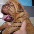 Vrh:Y Baurydy-Kor�n 2 t�deny,week
