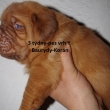 Vrh:Y Baurydy-Kor�n 3 t�dny,week