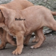 Believe z O���k�