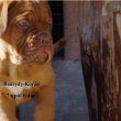 Baurydy-Kor�n vrh: X 7 a p�l t�dne