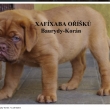 Xaf�xaba O���k� Baurydy-Kor�n 7 a p�l t�dne